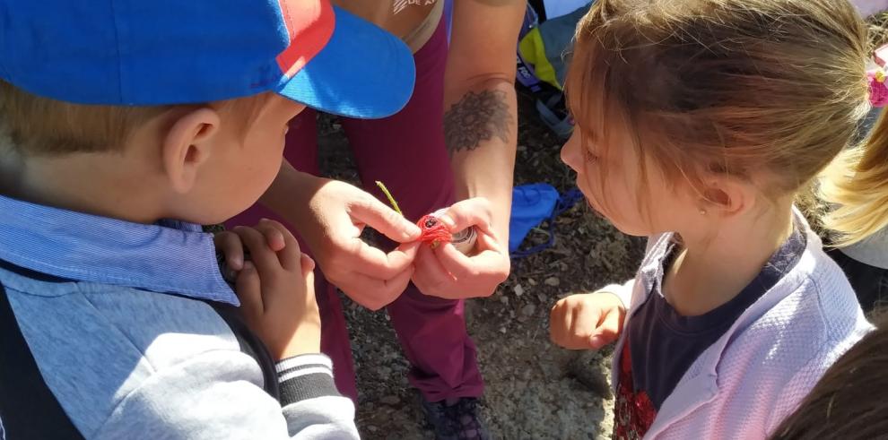 25 años de educación ambiental al servicio de los escolares aragoneses