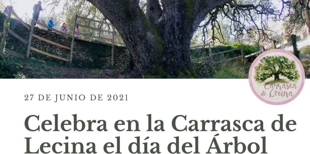 "Celebrando a los árboles", una cita en la carrasca milenaria de Lecina