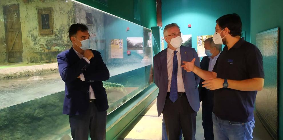 El Acuario de Zaragoza reabre sus puertas al público este jueves