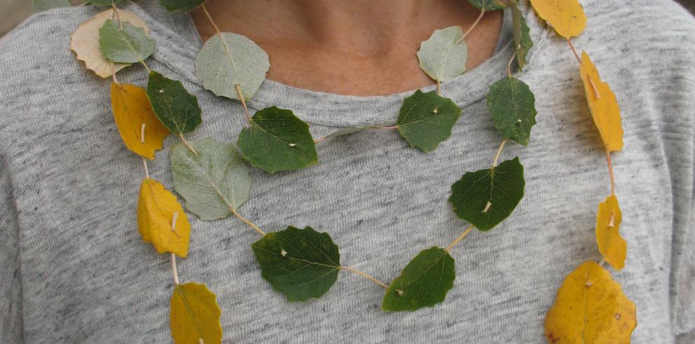 El libro “Diviértete con las plantas”, un original regalo para las navidades