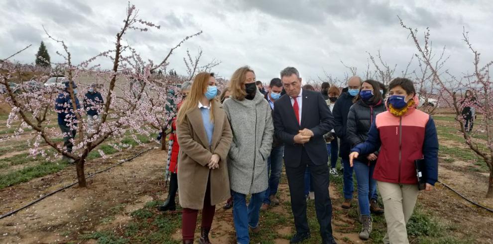 El CITA continúa trabajando en la mejora genética del Melocotón de Calanda para dar con nuevas variedades de mayor calidad y rendimiento