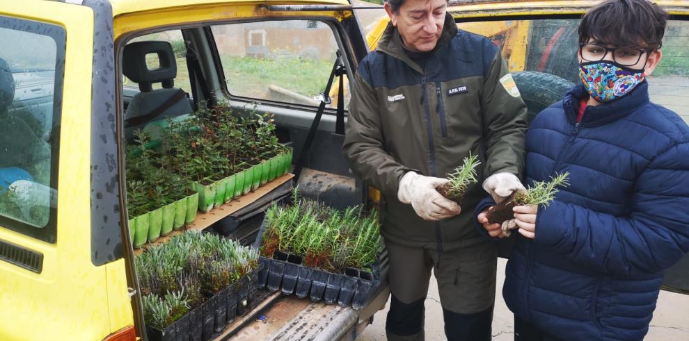 El Gobierno de Aragón celebra el Día del Árbol sensibilizando en los colegios sobre la importancia de los bosques