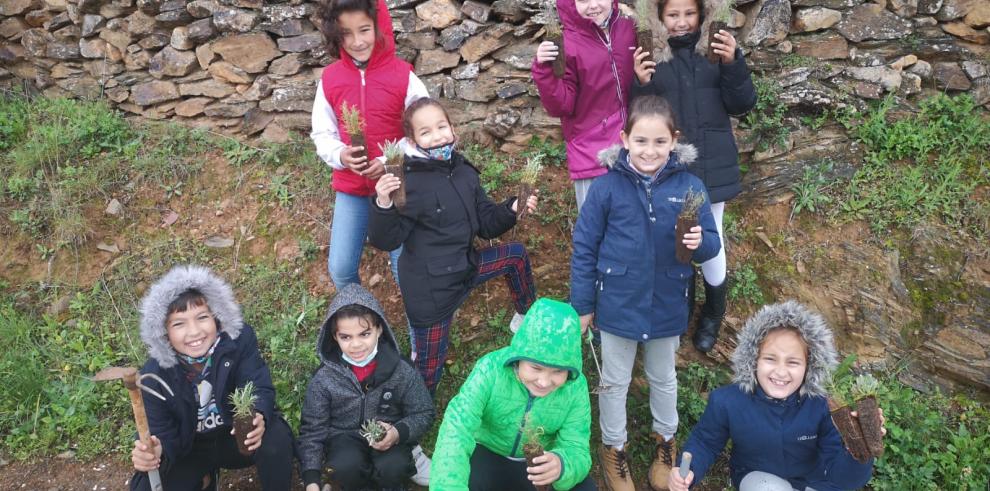 El Gobierno de Aragón celebra el Día del Árbol sensibilizando en los colegios sobre la importancia de los bosques