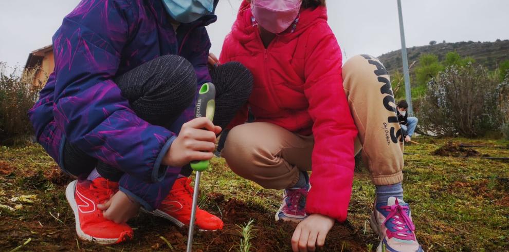 El Gobierno de Aragón celebra el Día del Árbol sensibilizando en los colegios sobre la importancia de los bosques