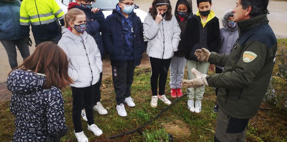 El Gobierno de Aragón celebra el Día del Árbol sensibilizando en los colegios sobre la importancia de los bosques