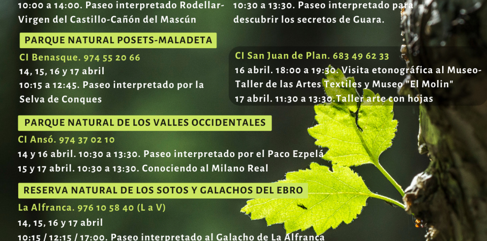 La Red Natural organiza más de una treintena de actividades gratuitas de educación ambiental para Semana Santa