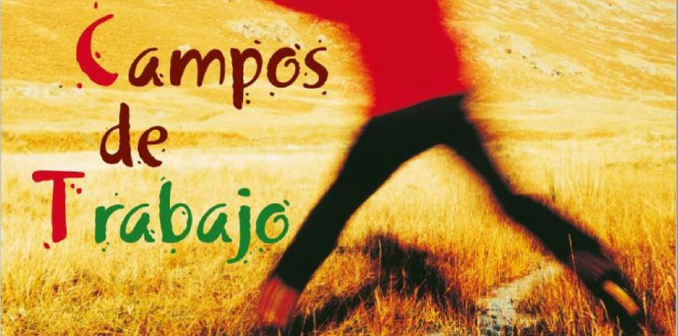 Cartel voluntariado