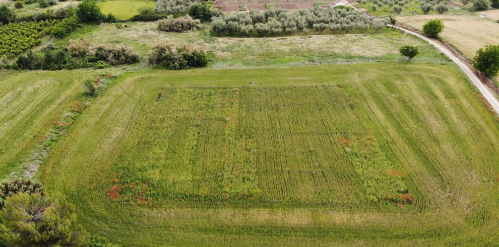 La jornada persigue difundir el uso de prácticas agrícolas sostenibles para mejorar la calidad del suelo en diferentes sistemas agrarios