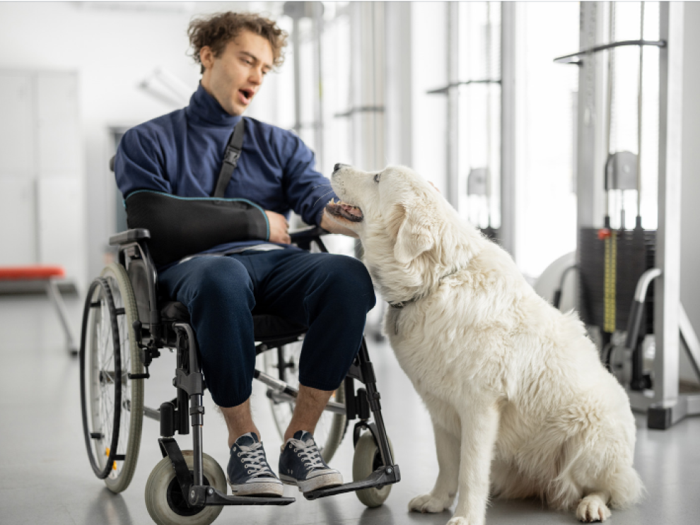 Perros de asistencia a personas con diversidad funcional