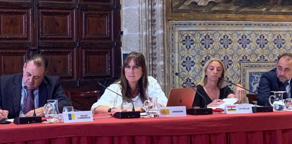 La consejera de Sanidad, en el Interterritorial celebrado hoy en Valencia.