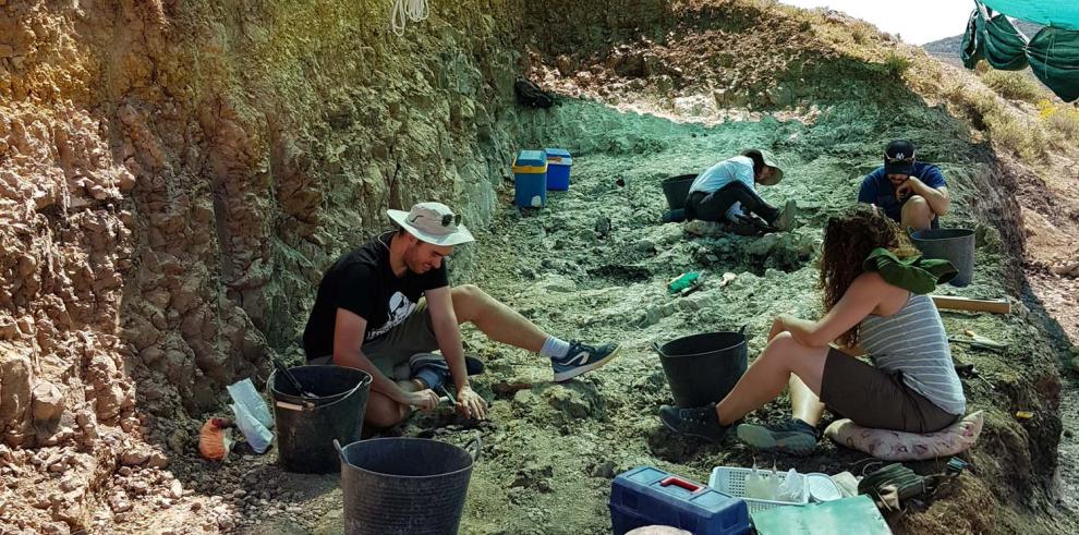 Excavación Yacimiento Puente Minero