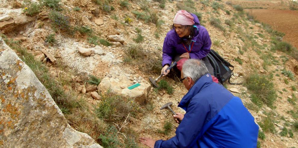 Trabajo de campo en el yacimiento de La Maca (Galve, Teruel)