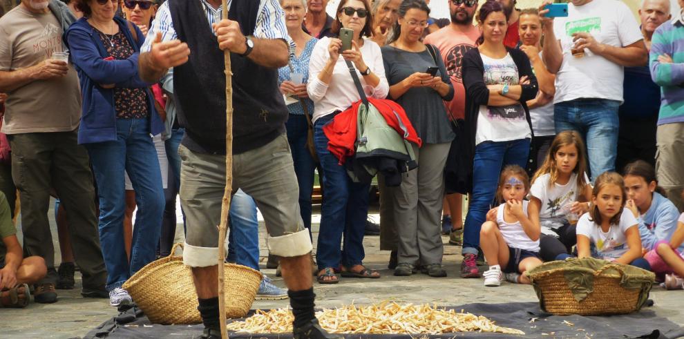 La Alfranca acoge la XII Feria aragonesa de la biodiversidad agrícola.