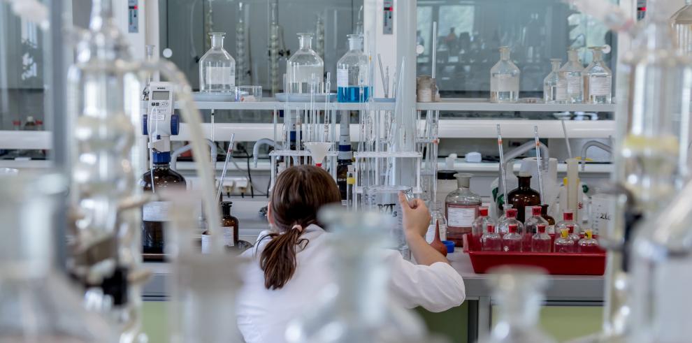 Una treintena de jóvenes predoctorales se beneficiarán de las ayudas.