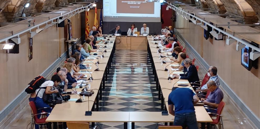 Reunión del pleno del Consejo de Salud de Aragón.