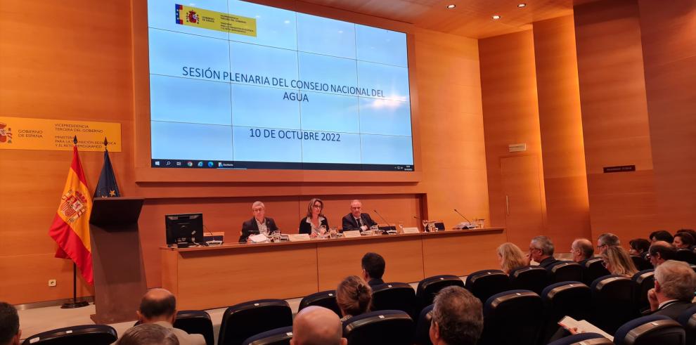 La vicepresidenta y ministra para la Transición, Teresa Ribera, ha presidido el pleno.