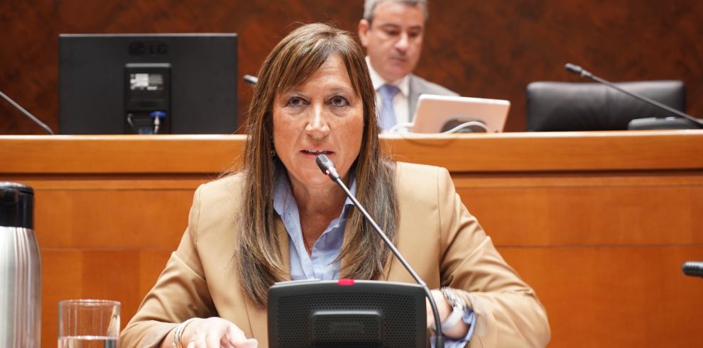 La consejera de Sanidad, Sira Repollés, durante su intervención