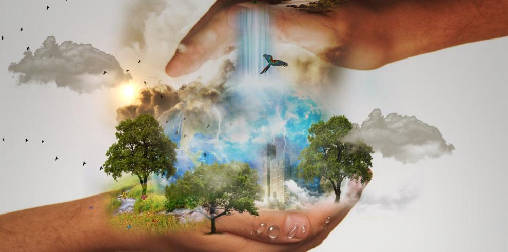 La EWWR 2022  se desarrolla del 19 al 27 de noviembre.