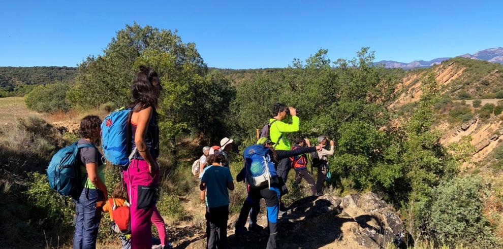 Actividad para conocer las aves en el Parque Natural de la Sierra y Cañones de Guara este verano