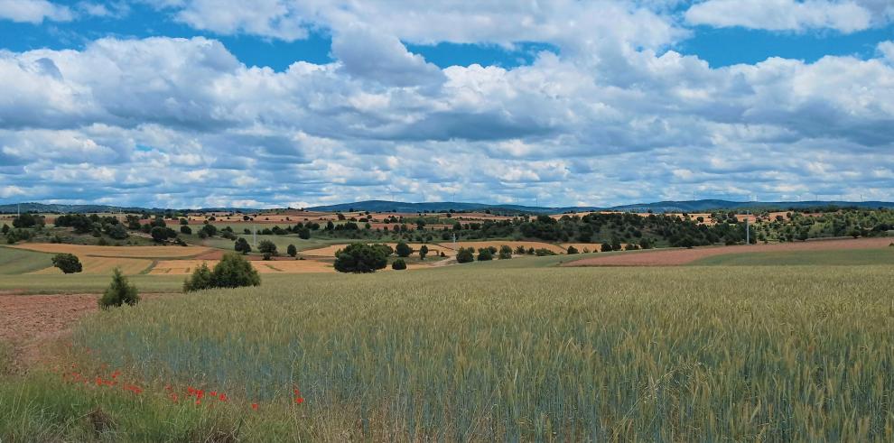 La jornada versará sobre agroecología y alimentación