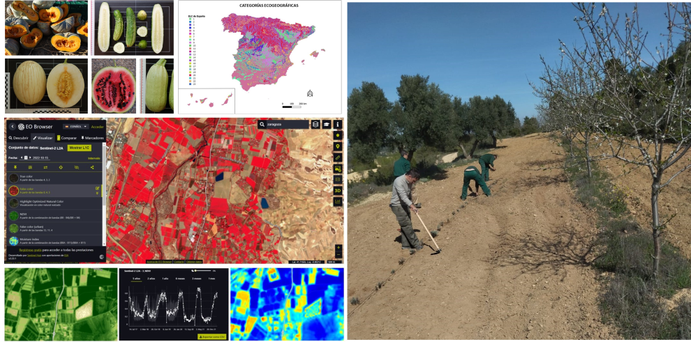 El proyecto persigue buscar y proponer estrategias alternativas de producción agraria dirigidas a reducir insumos y optimizar el manejo de los cultivos.