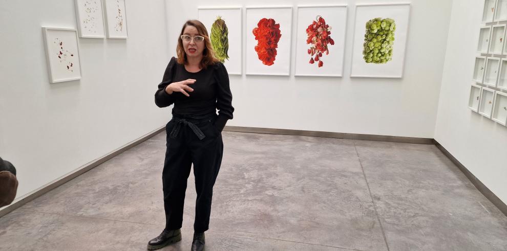 Nueva exposición en el CDAN