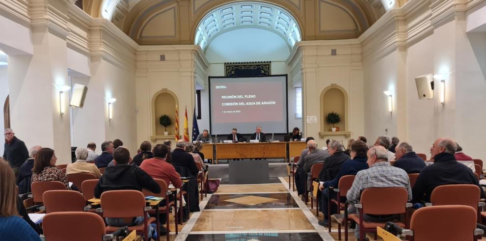 El Pleno de la Comisión del Agua, reunido en la Sala Goya.