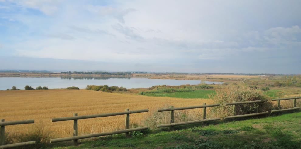 Laguna de Sariñena.