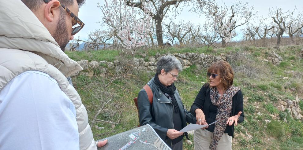 Visita al yacimiento de Labitolosa