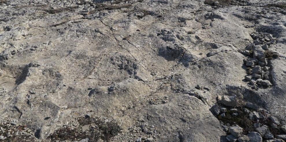 Huellas de dinosaurios saurópodos ubicadas en el yacimiento “Antena”, en Cedrillas (Teruel)