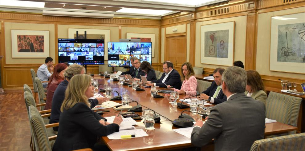 El Consejo Interterritorial celebró ayer una sesión telemática.