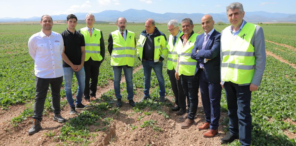 Visita a la empresa Actiture Organic Vegetables de Calatorao