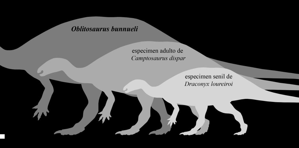 Siluetas ornitopodos