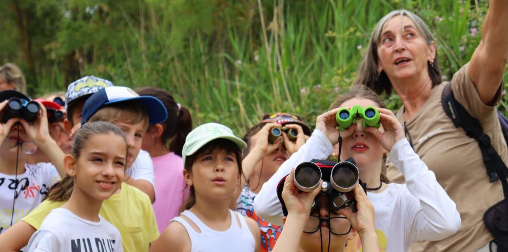 Una de las actividades para escolares de la Red Natural de Aragón.