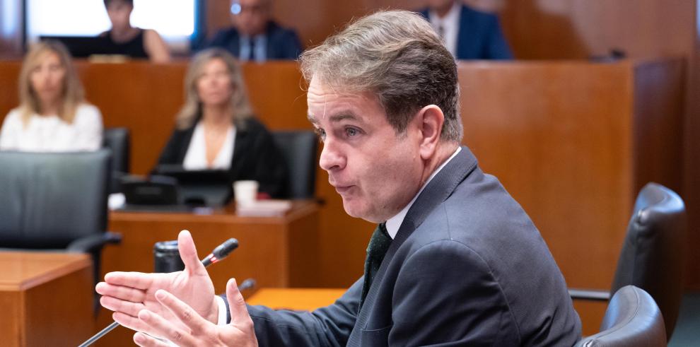 Roberto Bermúdez de Castro durante su comparecencia en las Cortes de Aragón