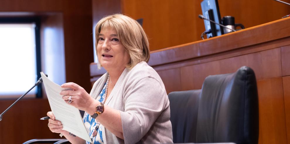 Comparecencia de la consejera de Presidencia en la Comisión Institucional y de Desarrollo Estatutario