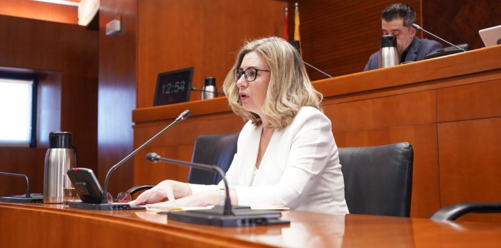 La consejera Claudia Pérez Forniés ha comparecido hoy por primera vez en la Comisión de Educación, Ciencia y Universidades de las Cortes de Aragón.