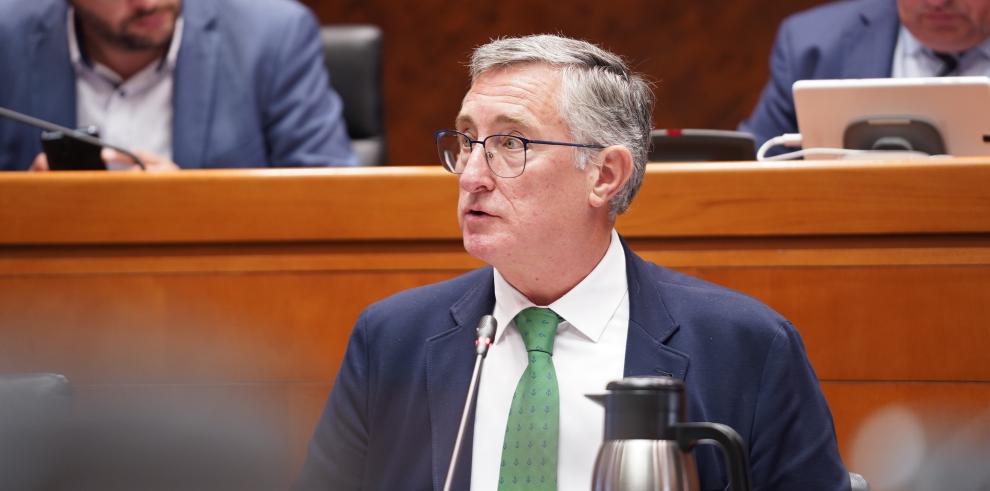 El consejero Blasco, en la comparecencia en las Cortes.