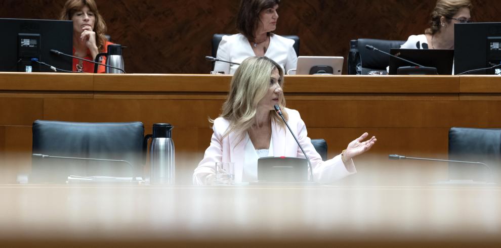 Comparecencia de la Vicepresidenta Segunda y Consejera de Economía, Empleo e Industria