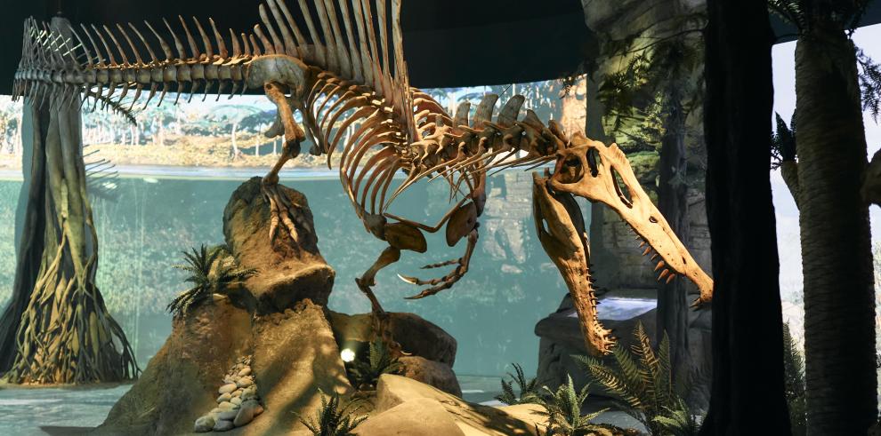 Spinosaurus, nuevo recorrido temático de Mar Jurásico.