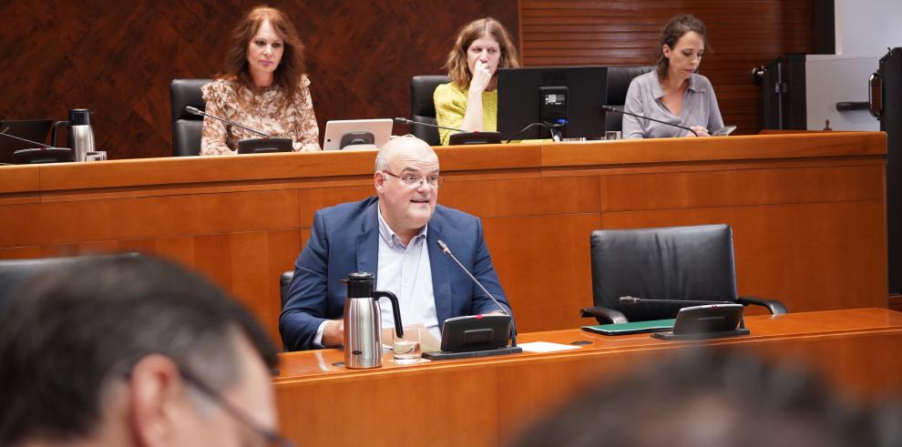 José María Cabello, director general de Personal, Formación e Innovación del Gobierno de Aragón, en las Cortes.