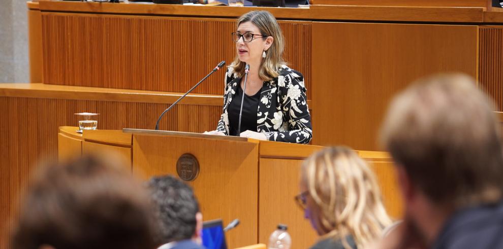 Claudia Pérez Forniés, consejera de Educación, en su comparecencia en Las Cortes este jueves.