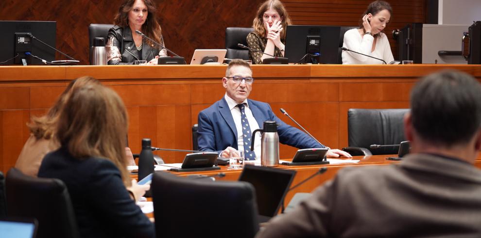 El director general de Planificación, Centros y Formación Profesional, Luis Mallada, este martes durante la comisión en las Cortes.