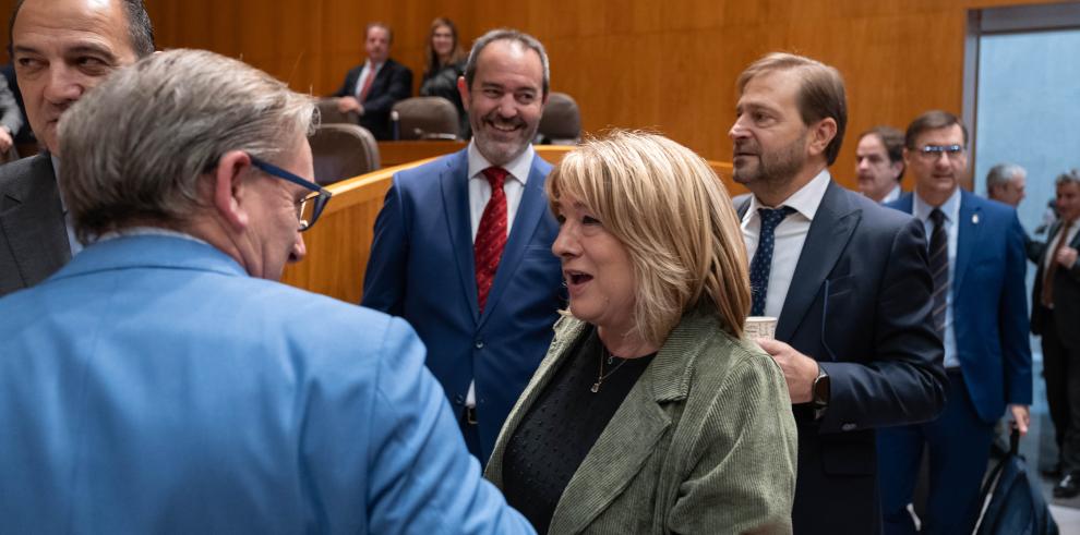 La consejera Tomasa Hernández presenta en las Cortes el Plan de Concordia Democrática.