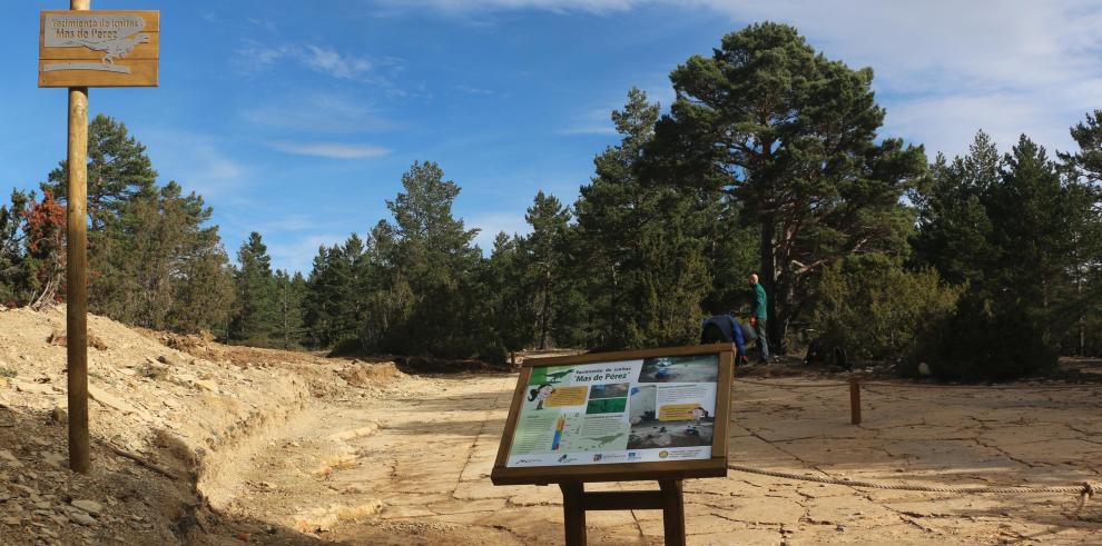 Adecuación museográfica y trabajos de la Fundación Dinópolis en el yacimiento “Mas de Pérez” (Mosqueruela).