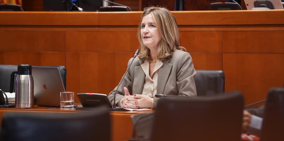 La directora general de Calidad Ambiental, María Martínez, en las Cortes de Aragón.