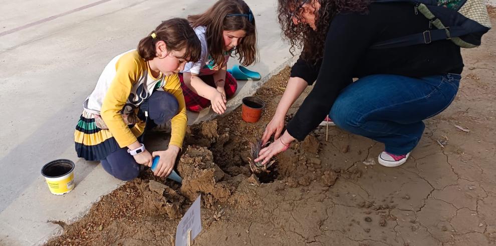 Los niños del colegio Vadorrey, plantando árboles.