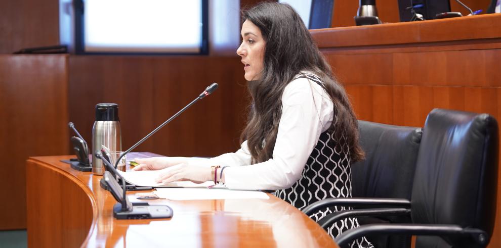 María Pía Canals, durante su intervención en la Comisión de Fomento de las Cortes de Aragón.