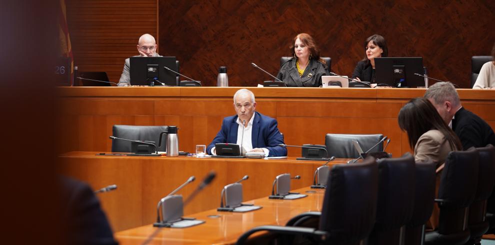 Manuel Magdaleno, durante su intervención en las Cortes este martes