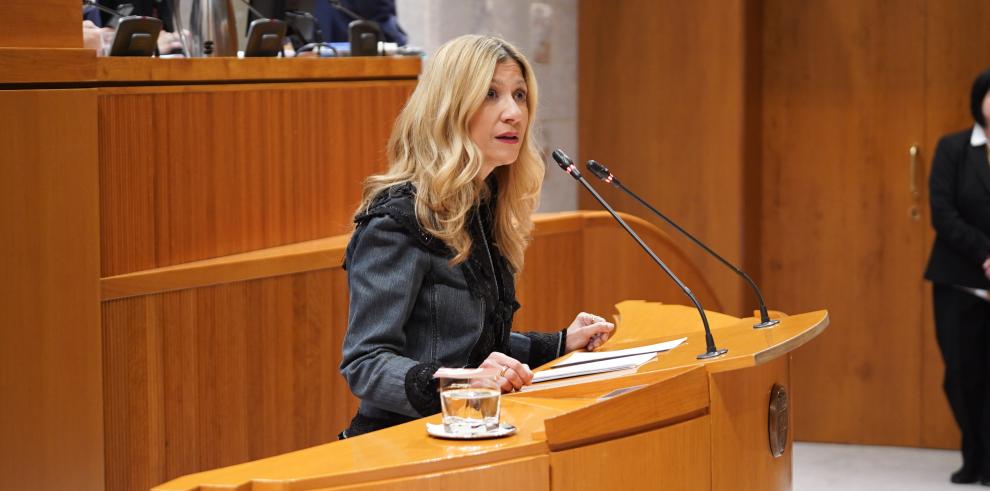 Mar Vaquero durante su intervención en las Cortes de Aragón